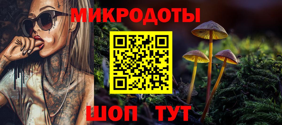 Галлюциногенные грибы Cubensis  Вход с VPN  Лениногорск 
